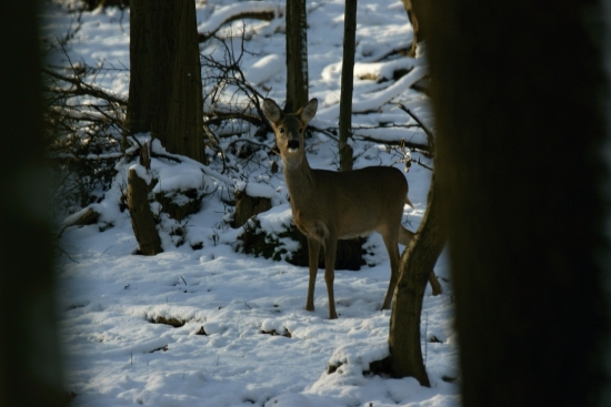 január 2012