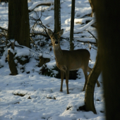 január 2012