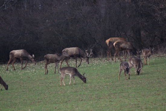 Pekne spolu... (archív)