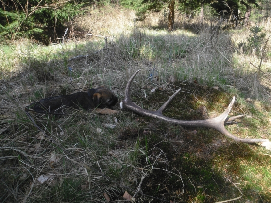 Korunový desaterák 2