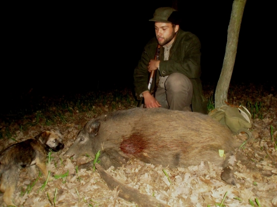 Téměř po roční pauze