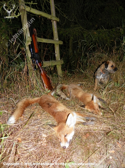 lov na strništi