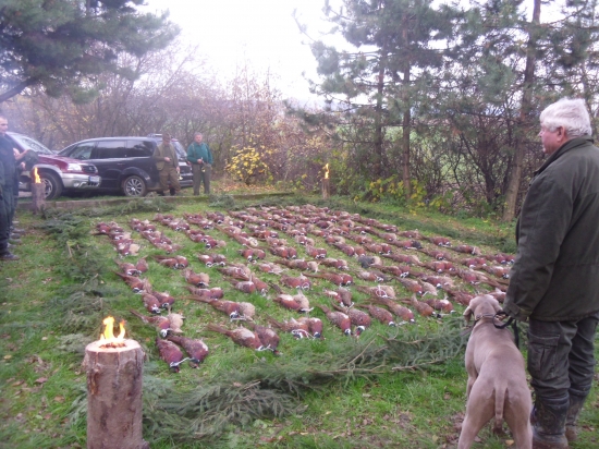 spoločná poľovačka