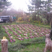 spoločná poľovačka