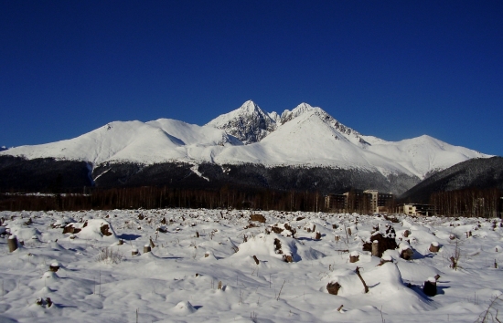 Panorama