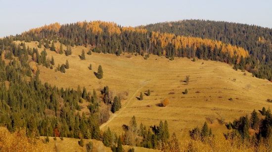 Tam kde sa ovečky pasu