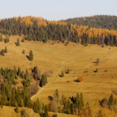 Tam kde sa ovečky pasu