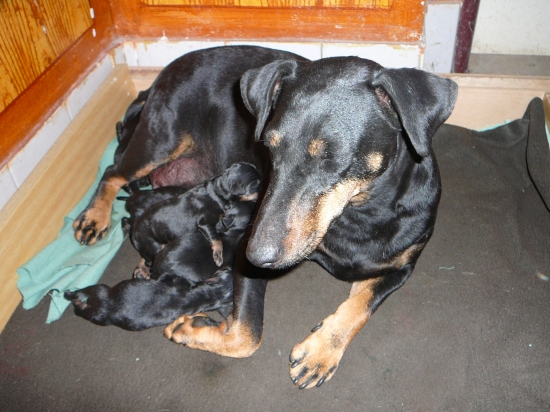 strašne som unavená