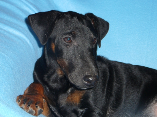 Moje 4 mesačné nádeje, ASTOR