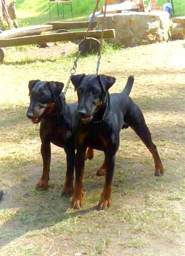 moje ciastocne splnene nadeje