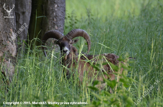 Male Karpaty