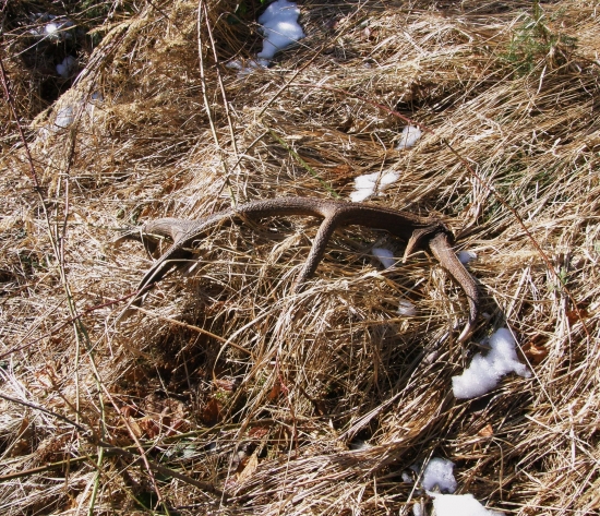 Už čoskoro príde čas...