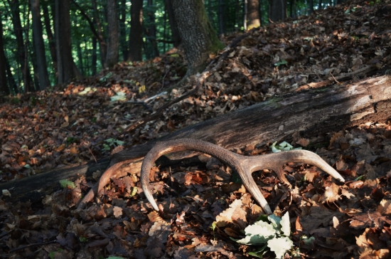 Dnes na hríboch-178b.