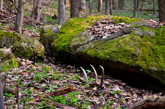 Unavené šťastie-dnes