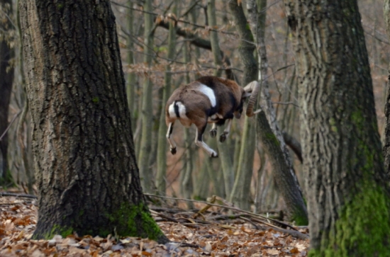 Já si lítám, já...