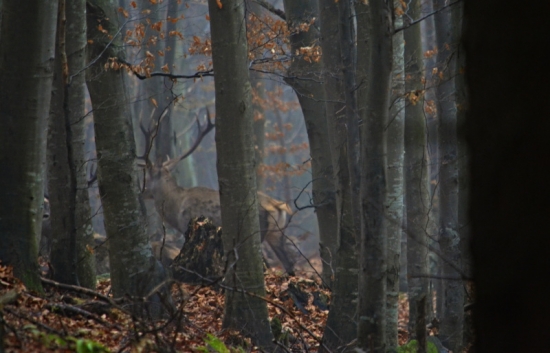 Keď počasie nepraje