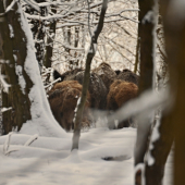 Dnešní nevychovanci