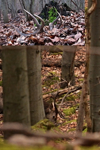 4 dni pred nájdením zhodu