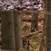 4 dni pred nájdením zhodu