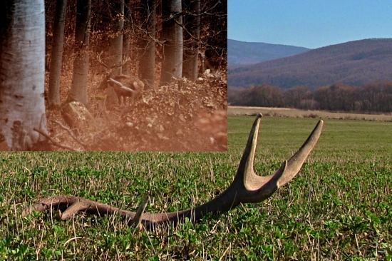 Unavené šťastie...