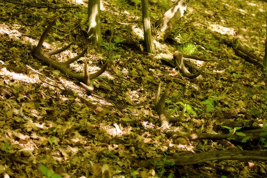 Včerajší super deň