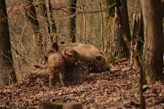 Keď sa zmení vietor...