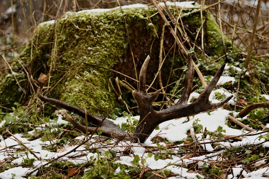 Vlaňajší zo včera