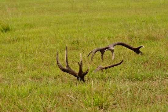 Spolu,takmer po 1,5 roku