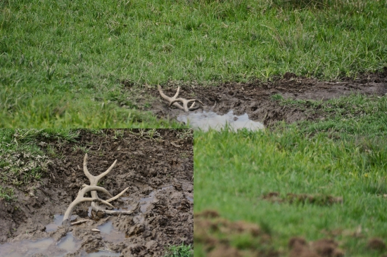 To sa len tak nevidí...