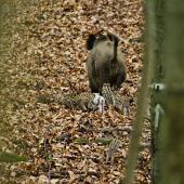 Nespolupracovali,otočili sa...