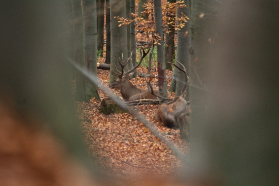 Odpočinok
