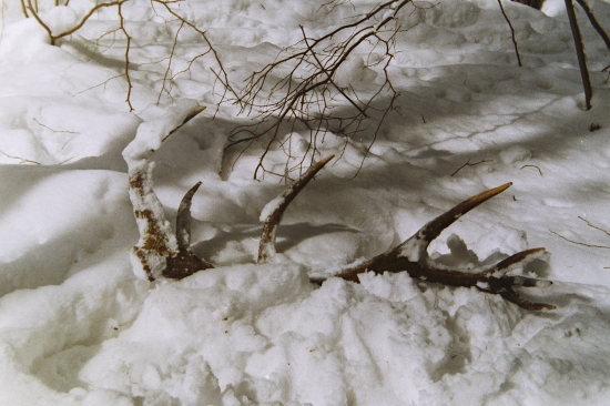 Kedysi-tajomstvo odhalené