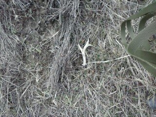 potešil,aj keď tam už bol dlhšie