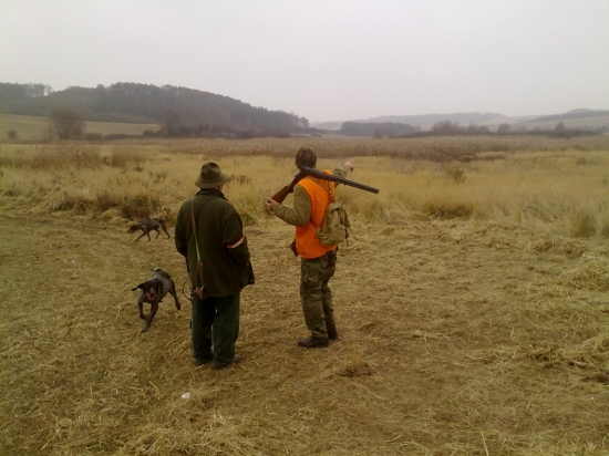 Hosť a tajomník...