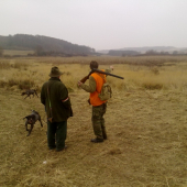 Hosť a tajomník...