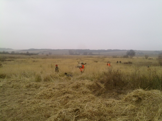 Šarina pod Hébecom