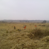 Šarina pod Hébecom