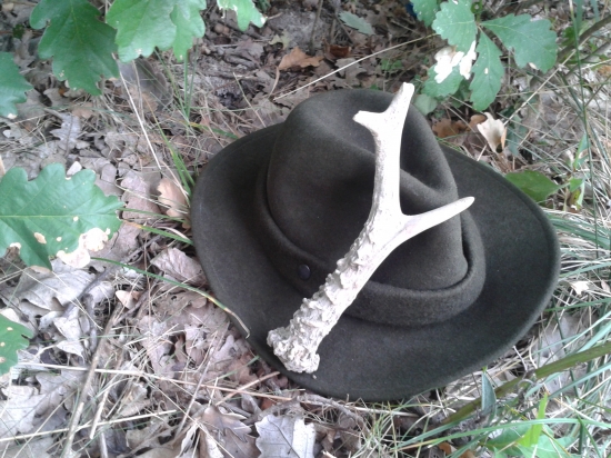 moj raňajší nález :)