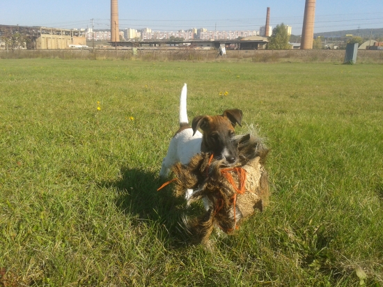 Alan z Bôrovej dolinky