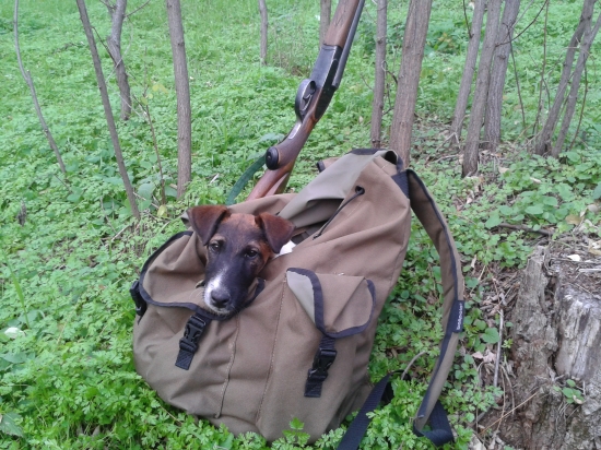 ... ja už ďalej pešo nepojdem,,,