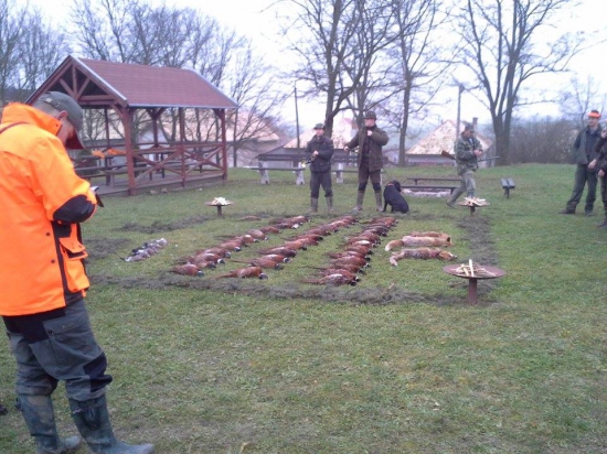 Poľovnícka organizácia HUNTER Lesenice