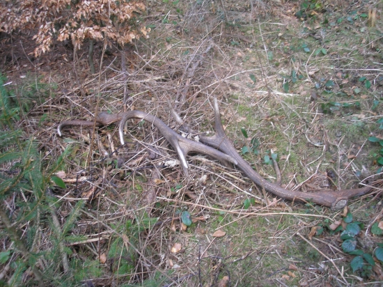 Tak to dopadne, když vezmu mladou na shozy.