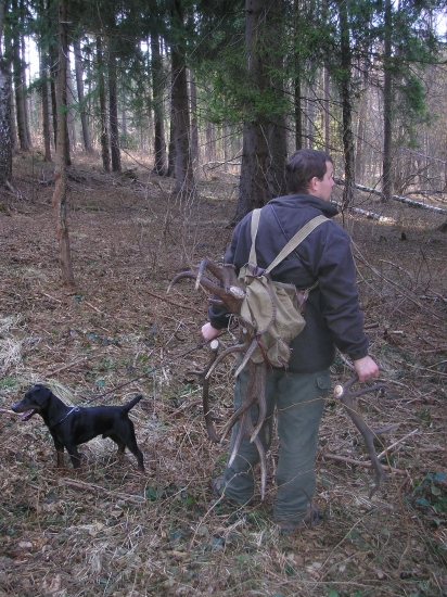 Já je našla tak ty je můžeš odnést