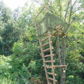 Nový posed