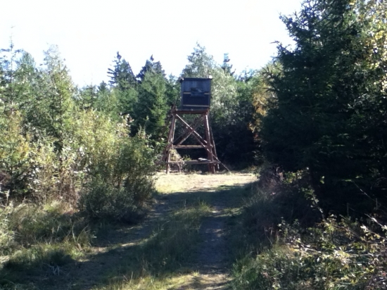 Ze staré novou neuděláš............