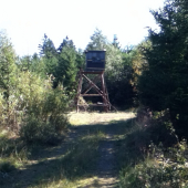 Ze staré novou neuděláš............