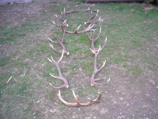 a to leošní sezóna snad ještě nekončí.