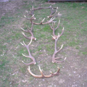 a to leošní sezóna snad ještě nekončí.