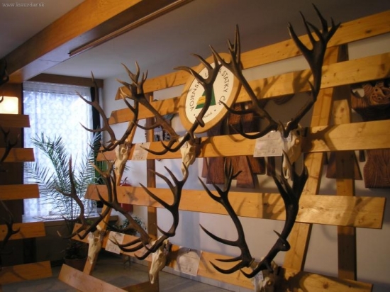 Hranice výstava trofejí VLS