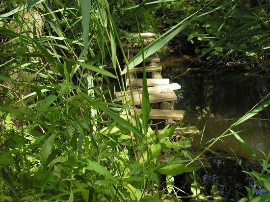 Mostik cez potok ku krmelcu